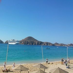 Meet your Posher, Desiree